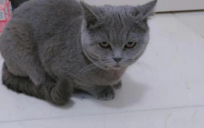 DƬ